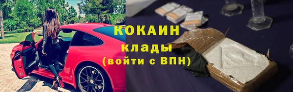 PSILOCYBIN Пересвет