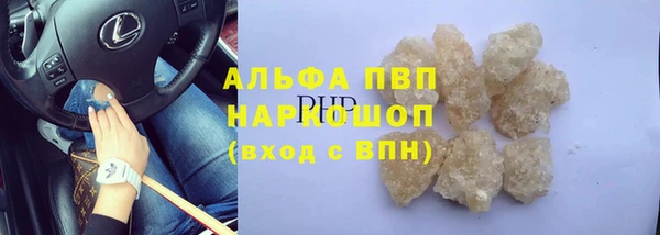 стаф Пестово