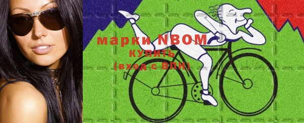 стаф Пестово