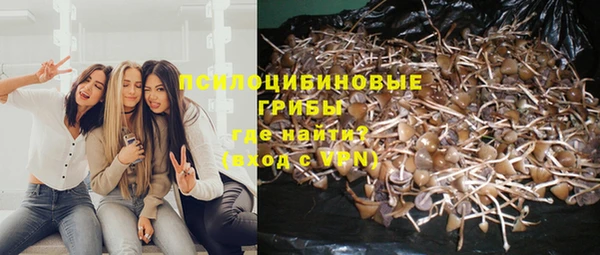 стаф Пестово