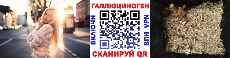 Галлюциногенные грибы прущие грибы  Куса 